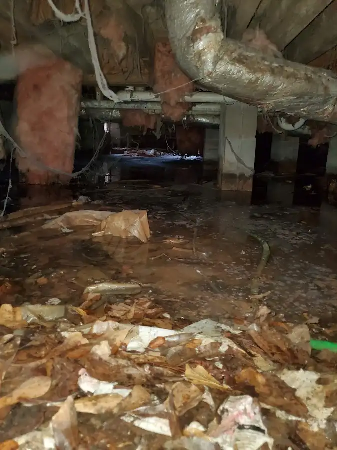 Crawl space flood assessment for Leak Detection & Repair in Waterford